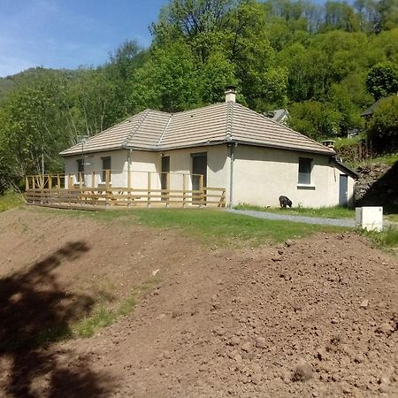 Maison Individuelle Laveissière Exterior foto